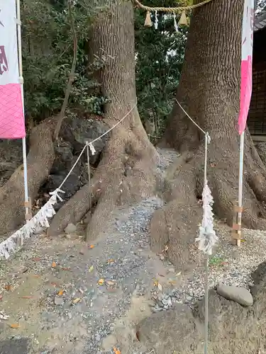 開運招福 飯玉神社の自然