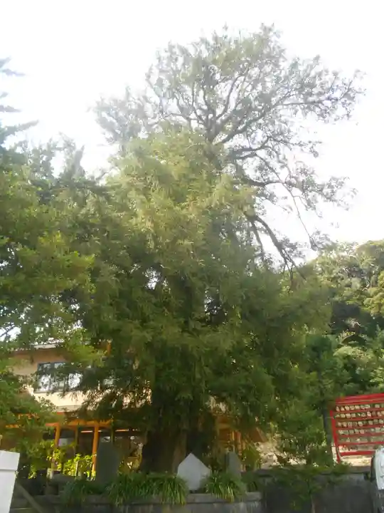 瀬戸神社の自然