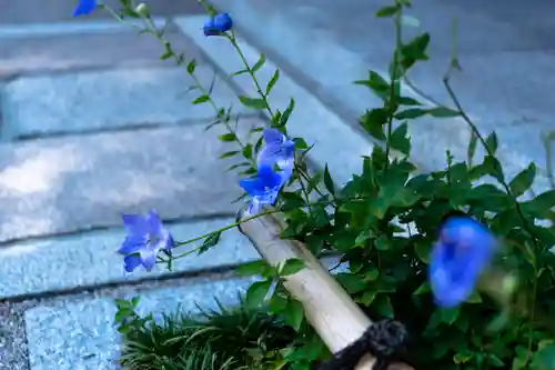 晴明神社(京都府)