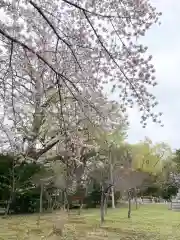 札幌護國神社の自然