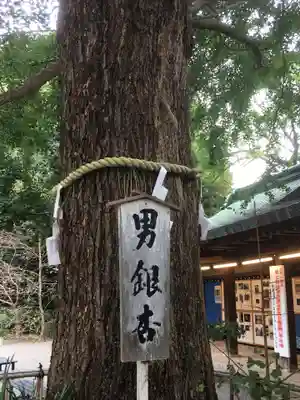 大宮八幡宮のその他建物
