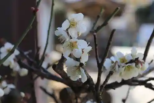 大鏑神社の自然