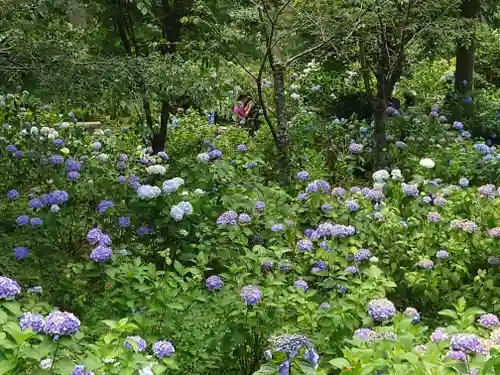 三千院門跡(京都府)
