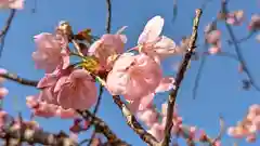 熊野若王子神社(京都府)