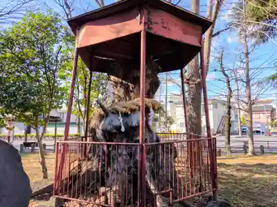 神明大神(中丸子神社)(神奈川県)