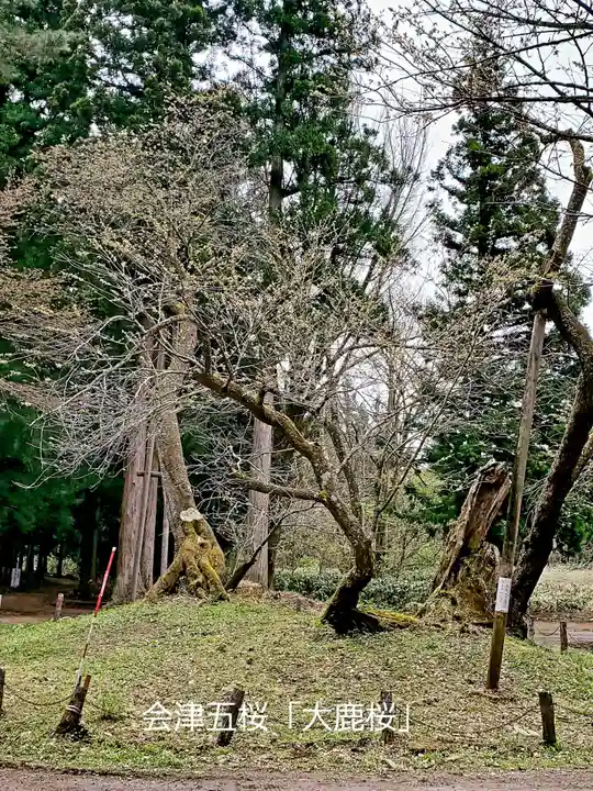 磐椅神社(福島県)