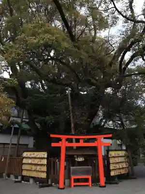 富知六所浅間神社(静岡県)
