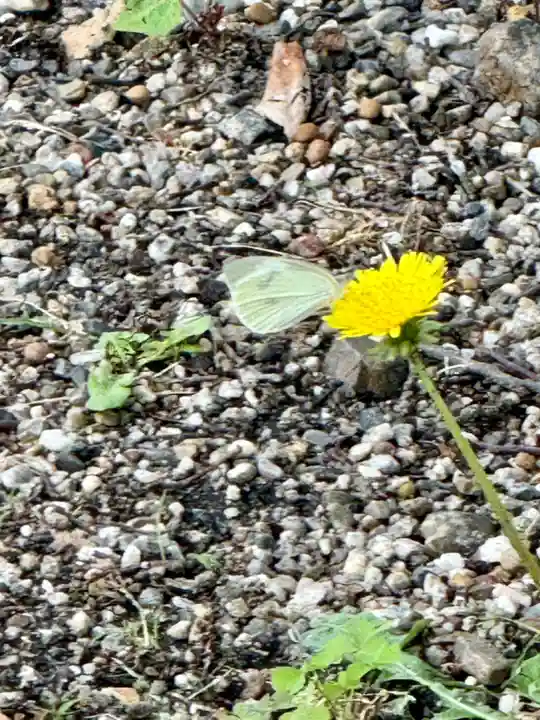 天王神社(京都府)