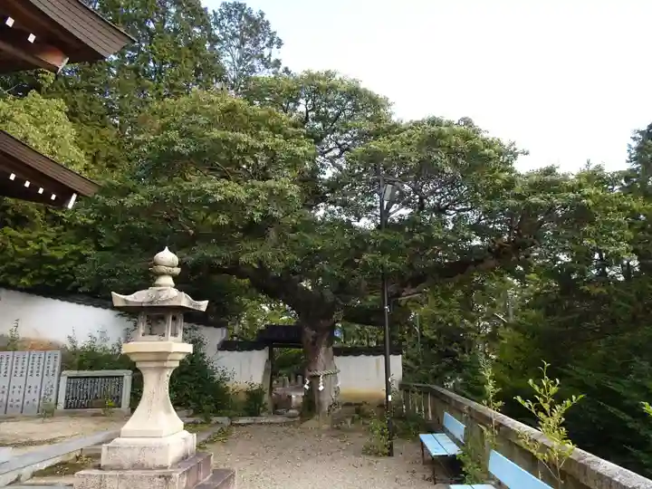 鶴崎神社(岡山県)