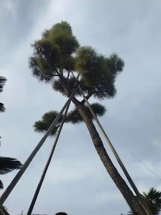 長福寺(東京都)
