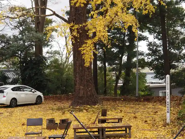 天王山 安楽寺(福井県)