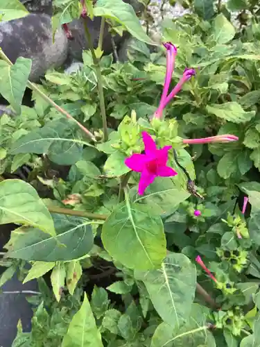 三輪神社の自然