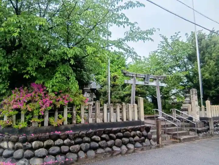 白山神社の{uncategorized: "未分類", other: "その他", undefined: "問題あり", building: "その他建物", grave: "お墓", sacred_gate: "鳥居", guardian: "狛犬", statue: "像", buddha: "仏像", history: "歴史", nature: "自然", garden: "庭園", animal: "動物", pagoda: "塔", temizu: "手水舎", mountain_gate: "山門・神門", sanctuary: "本殿・本堂", subordinate: "末社・摂社", art: "芸術", scenery: "景色", jizo: "地蔵", ema: "絵馬", goshuin: "御朱印", omikuji: "おみくじ", items: "授与品その他", amulet: "お守り", goshuincho: "御朱印帳", eats: "食事", festival: "お祭り", votive_dance: "神楽", shichigosan: "七五三参", wedding: "結婚式", experience: "体験その他", initially: "初詣", around: "周辺", anti_infection: "感染症対策"}