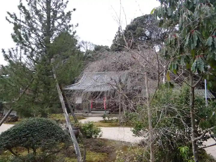 桃林寺(三重県)