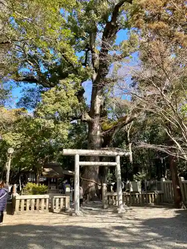 伊弉諾神宮(兵庫県)