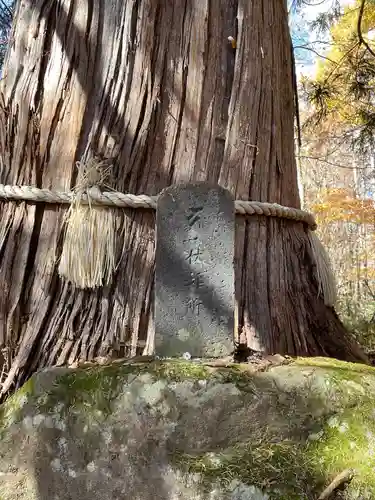 戸隠神社火之御子社の建物その他