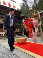 滑川神社 - 仕事と子どもの守り神の七五三参