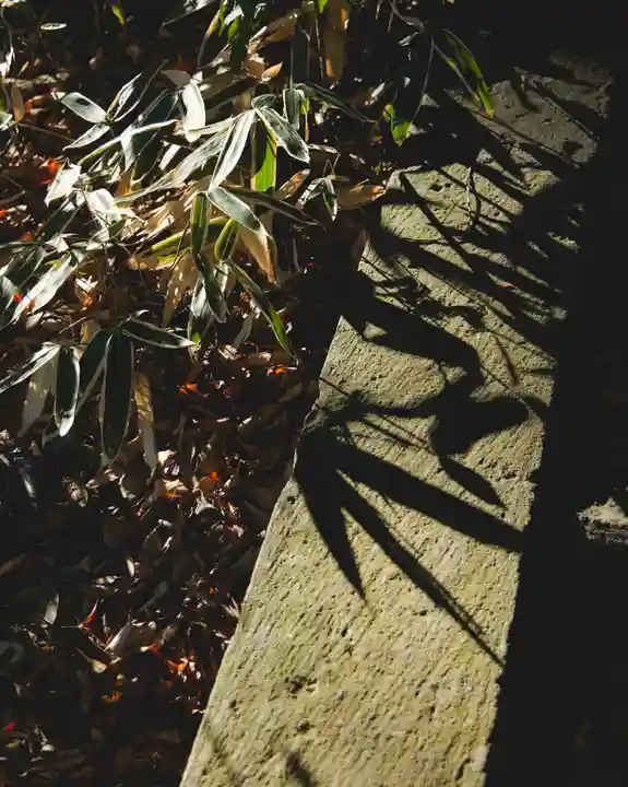 仙波東照宮(埼玉県)