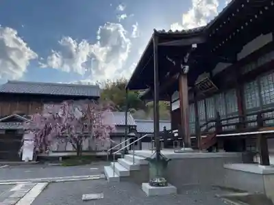 大妙寺(京都府)