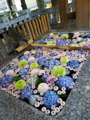 高円寺氷川神社(東京都)