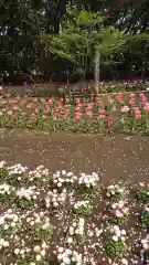 江島神社の庭園