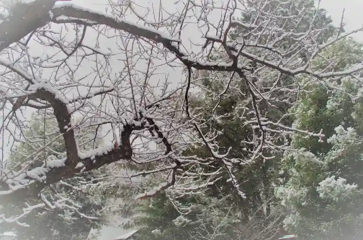 くまくま神社(導きの社 熊野町熊野神社)の景色