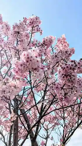 七百餘所神社 の自然