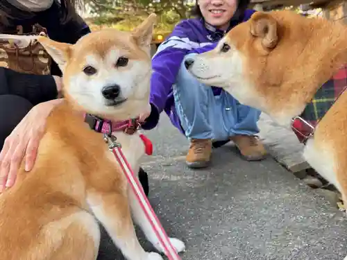 かっぱの寺 栖足寺(静岡県)