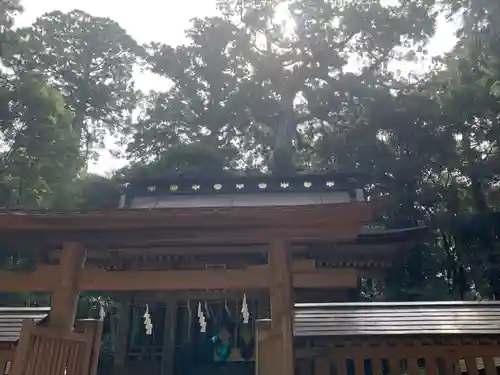 鹿島神宮(茨城県)