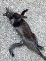 高司神社〜むすびの神の鎮まる社〜(福島県)