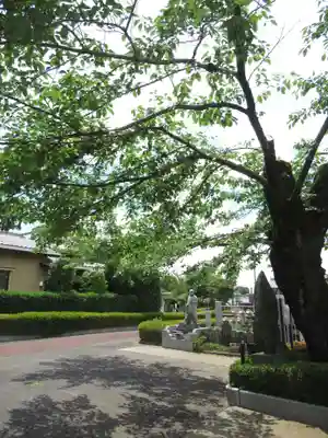 真光寺(千葉県)