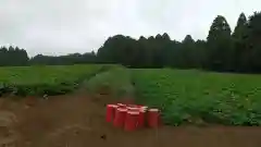 白幡神社の周辺