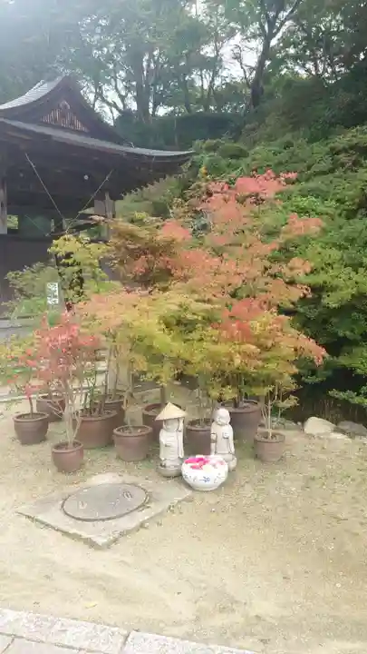 岡寺(龍蓋寺)(奈良県)