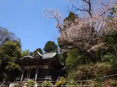 西八朔杉山神社の本殿・本堂