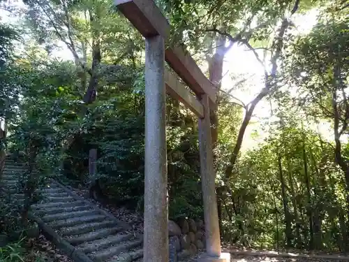 津島社（堀之内津島社）の鳥居