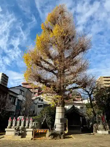 福王山  慈眼寺(東京都)