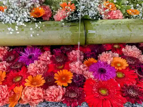 白山神社(新潟県)
