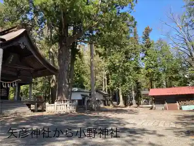 矢彦神社(長野県)