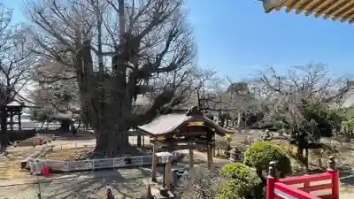 千葉寺(千葉県)