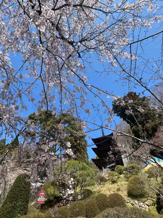 国宝 大法寺の自然