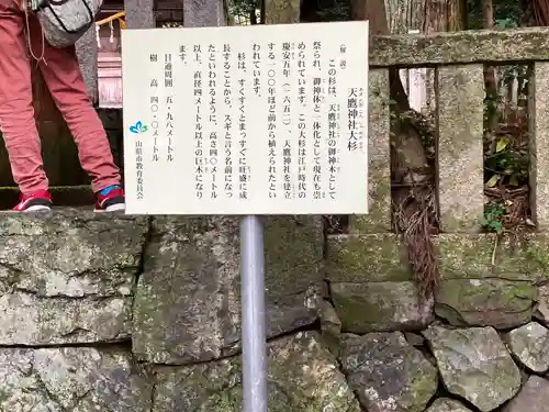 天鷹神社(岐阜県)