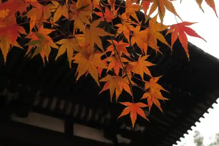 大報恩寺(千本釈迦堂)(京都府)