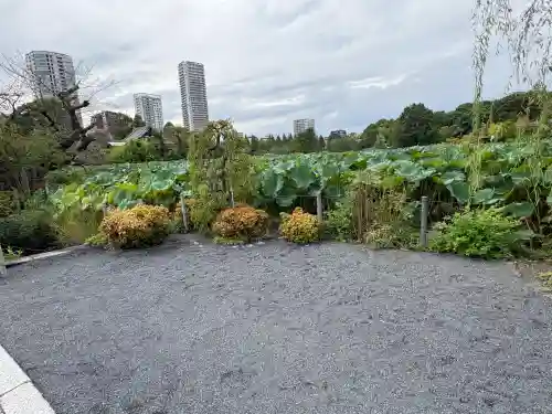寛永寺不忍池弁天堂(東京都)