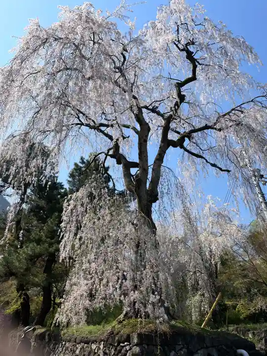 妙義神社(群馬県)