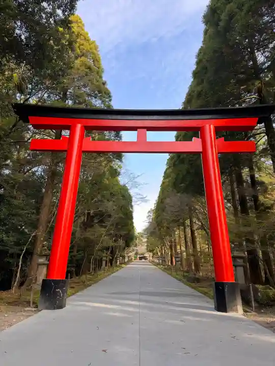 霧島神宮(鹿児島県)
