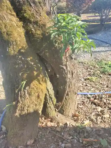 御嶽山神社のその他建物