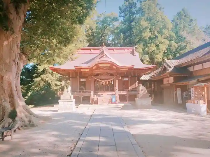 素鵞神社の本殿・本堂