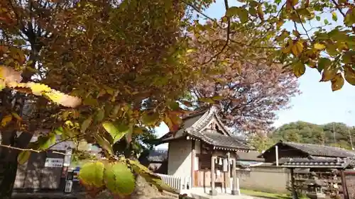 大手神社のその他建物