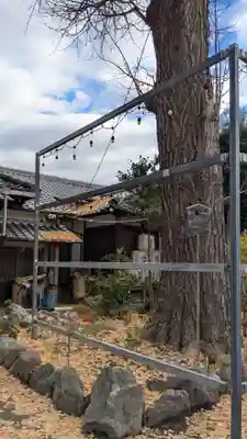 縣神社の自然