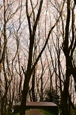 熊野神社(愛媛県)